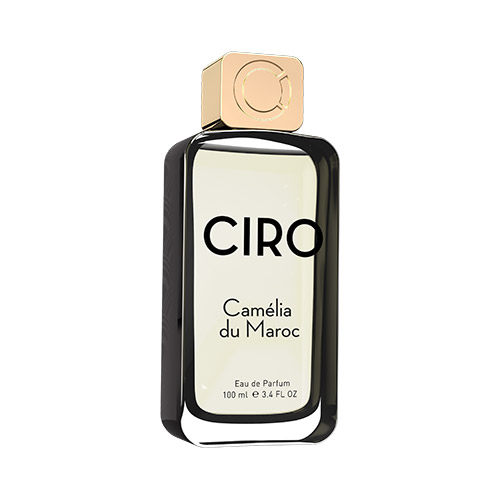 Camélia du Maroc/カメリア デュ モロッコ